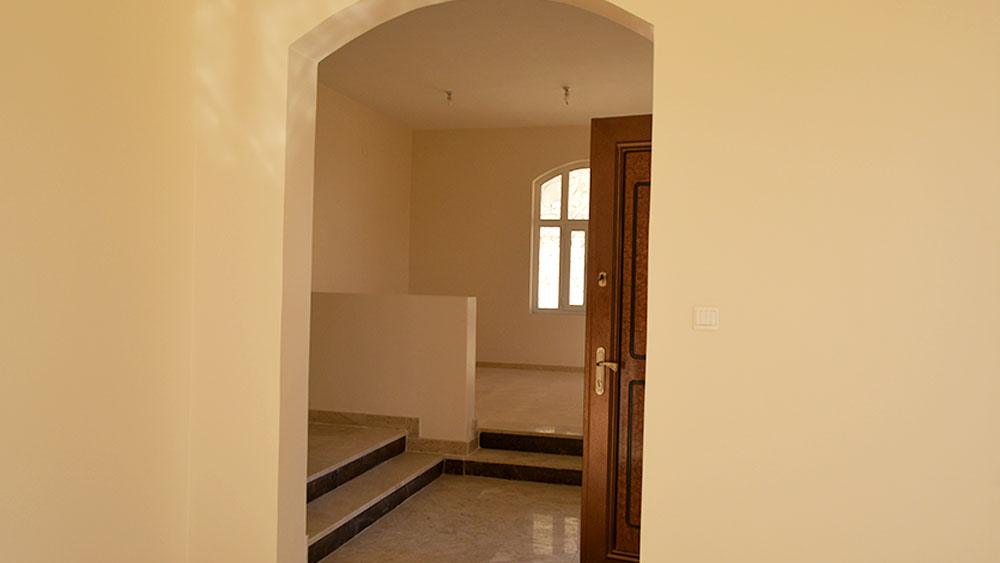 تضامن سيتي 1